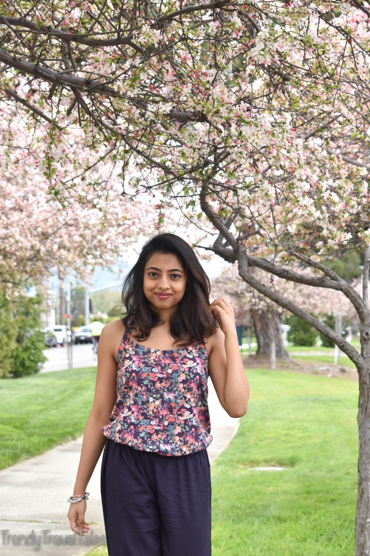 Chasing Cherry Blossoms